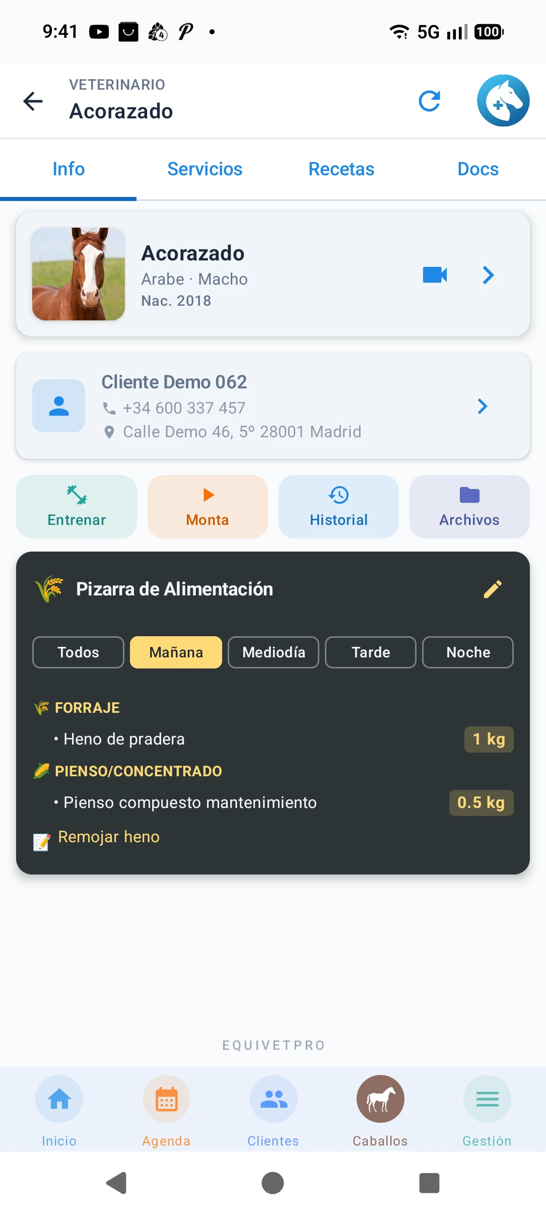 Ficha completa de caballo con historial clínico